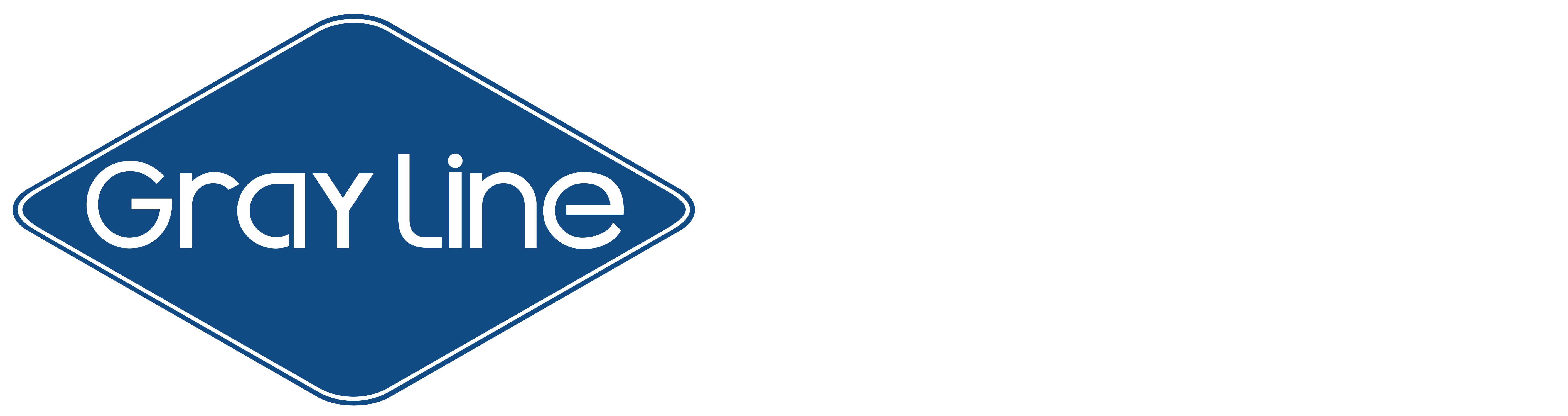 Logo footer